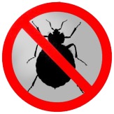Предлагаю Выведение клопов, насекомых в вашем доме