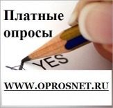 Работа по заполнению анкет опросов