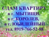 Сдам одна комнатную квартиру в городе Королеве по ул. Сакко и Ванцетте.