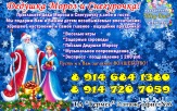 Дед Мороз и Снегурочка на дом!