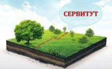 Установление сервитута для юридических лиц в Санкт-Петербурге