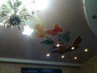 Натяжные потолки российских и зарубежных производителей.