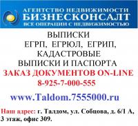 Выписки из ЕГРП, ЕГРЮЛ, кадастровые паспорта в Талдомском районе